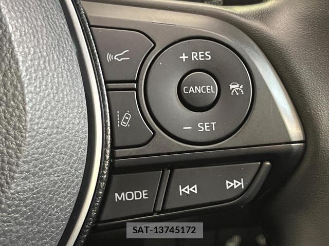 Toyota RAV4 2020-06 8003121-4
