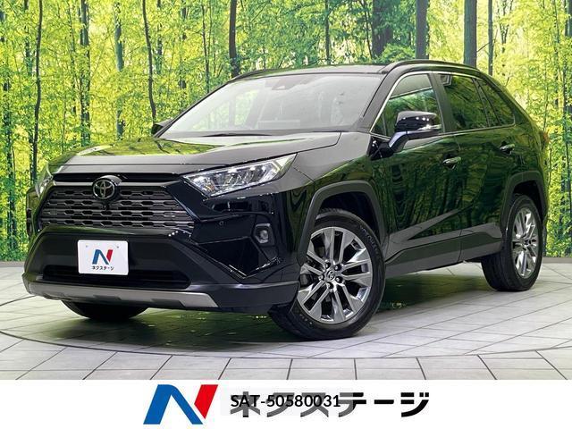 Toyota RAV4 2023-09 8003418-0