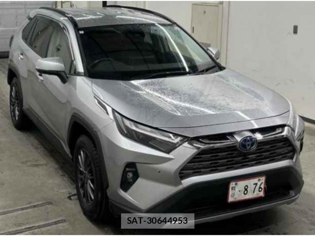 Toyota RAV4 2022-09 8008299-0