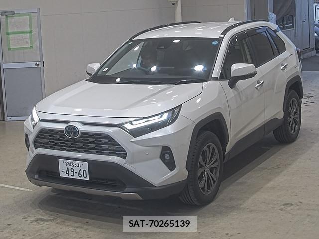Toyota RAV4 2024-01 8009305-0