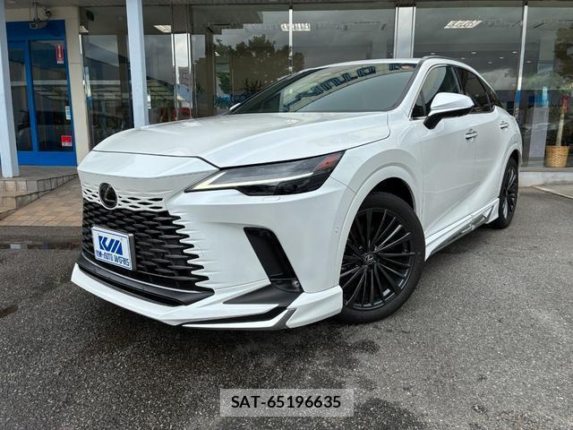 Lexus RX 2023-10 8003059-0