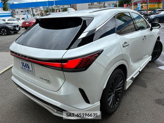 Lexus RX 2023-10 8003059-2