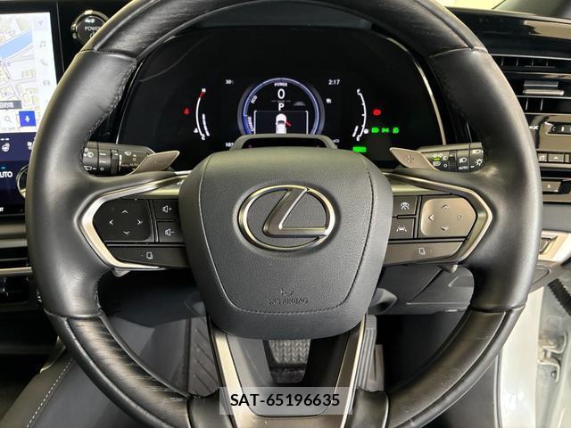 Lexus RX 2023-10 8003059-6