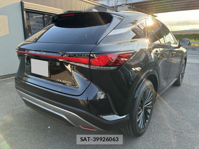 Lexus RX 2024-06 8007136-12