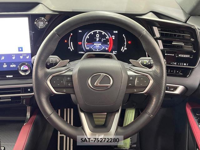 Lexus RX 2024-10 8009621-10