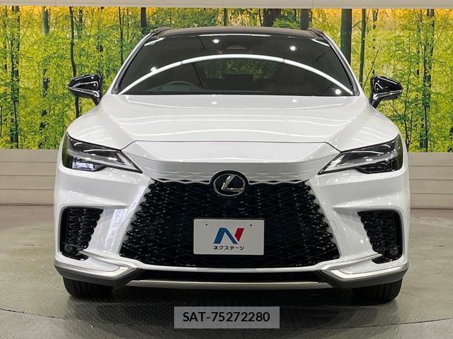 Lexus RX 2024-10 8009621-13