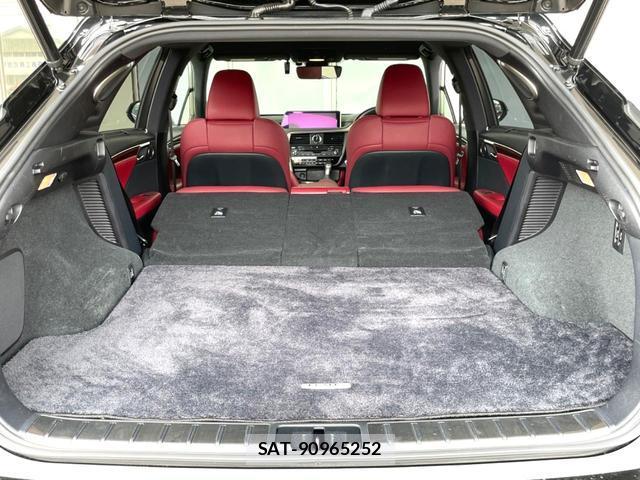 Lexus RX 2017-02 8009908-8