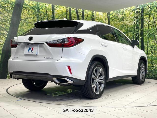 Lexus RX 2017-02 8010443-16