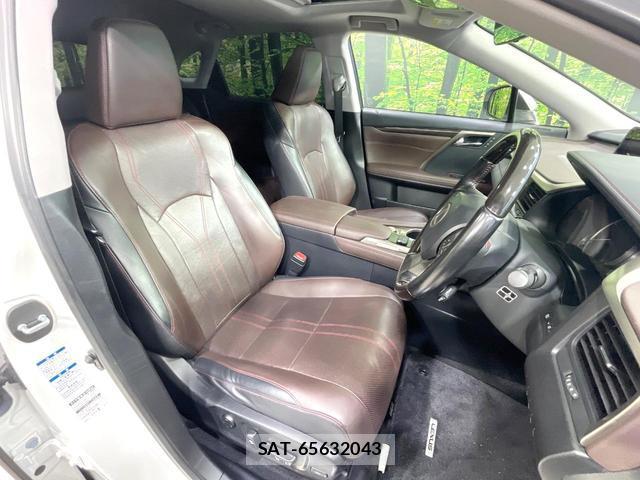 Lexus RX 2017-02 8010443-7
