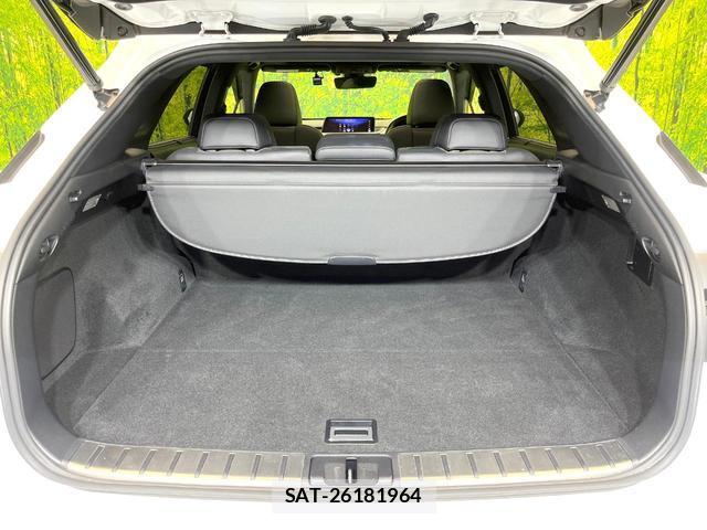 Lexus RX 2016-11 8011166-9