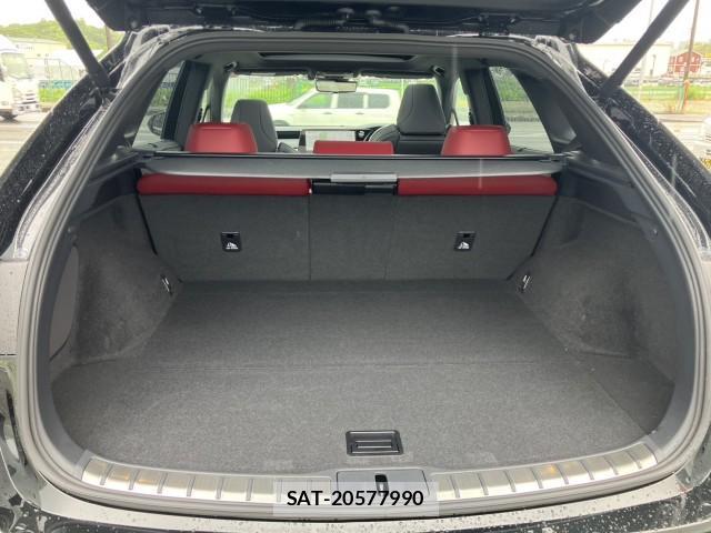 Lexus RX 2024-10 8009782-13