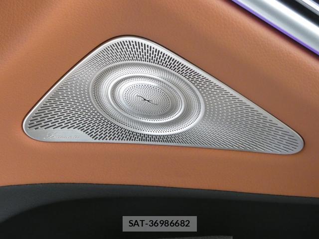 Mercedes Benz S-CLASS 2022-02 8004743-12