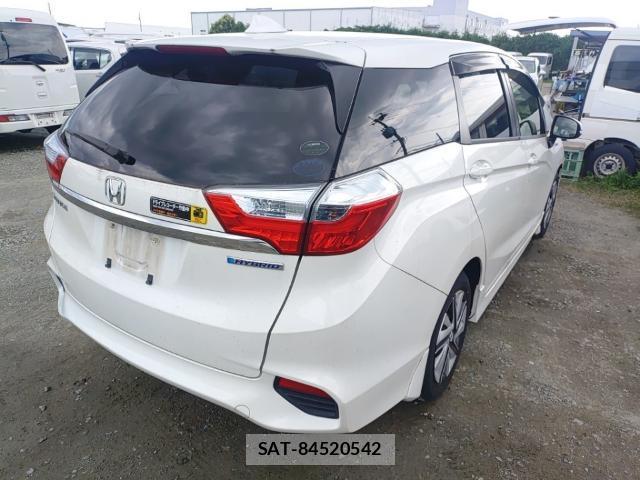 Honda SHUTTLE 2017-06 8005611-4