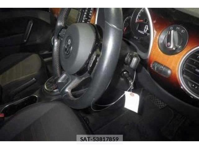 VolksWagen THE BEETLE 2013-06 8009298-3