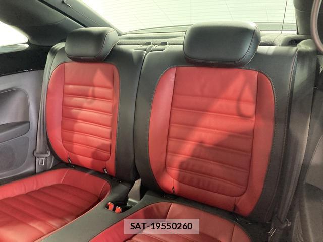 VolksWagen THE BEETLE 2019-04 8009454-10