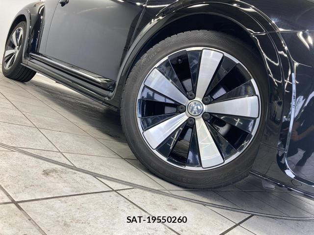 VolksWagen THE BEETLE 2019-04 8009454-11