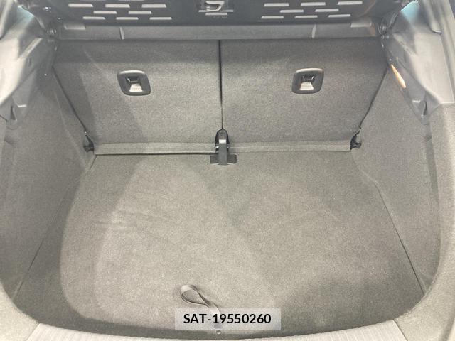 VolksWagen THE BEETLE 2019-04 8009454-12