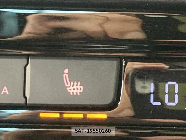 VolksWagen THE BEETLE 2019-04 8009454-6