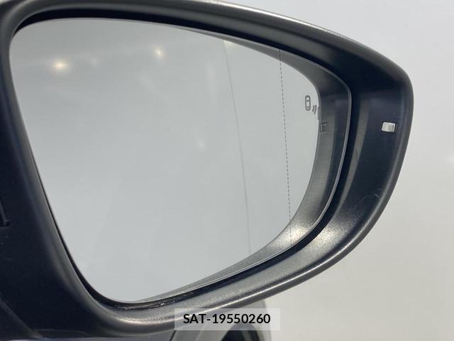 VolksWagen THE BEETLE 2019-04 8009454-7