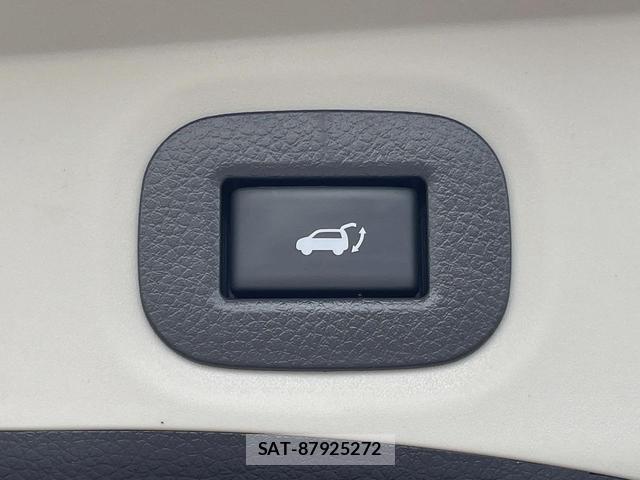Nissan X-TRAIL 2020-06 8003203-8