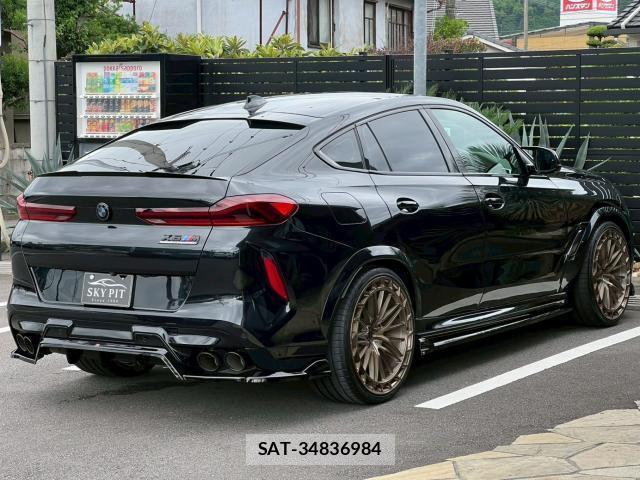 Bmw X6 2021-01 8006777-1