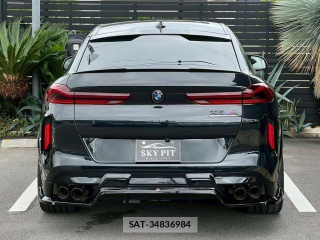 Bmw X6 2021-01 8006777-17