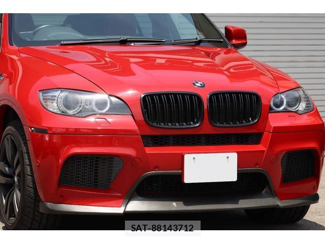 Bmw X6 2011-06 8006785-12