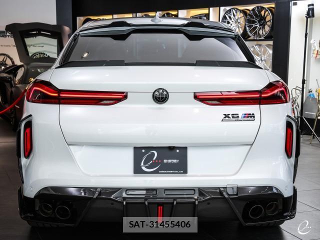 Bmw X6 2020-04 8010179-11