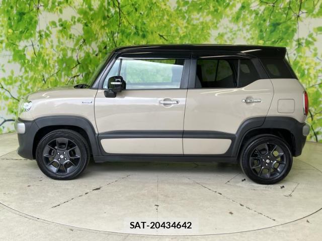 Suzuki X BEE 2019-06 8009731-1