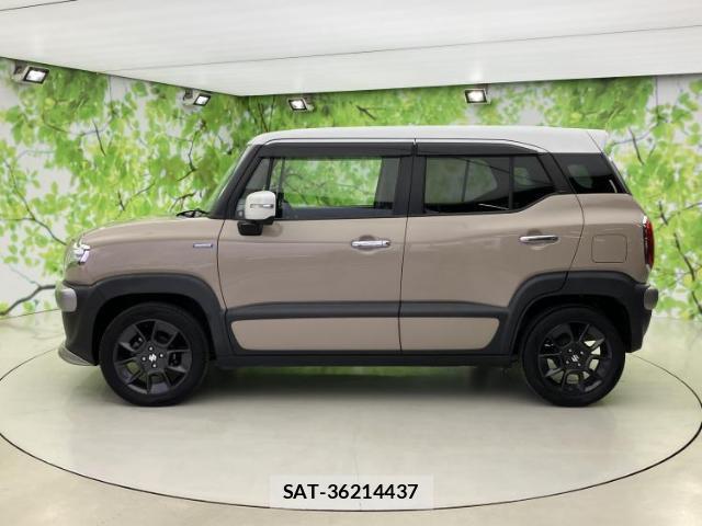 Suzuki X BEE 2019-11 8012234-1