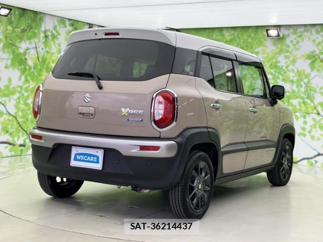 Suzuki X BEE 2019-11 8012234-2