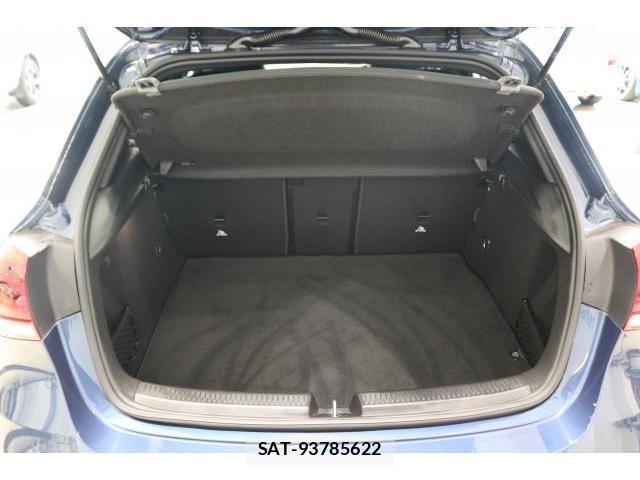 Mercedes Benz A-CLASS 2020-02 8055508-18