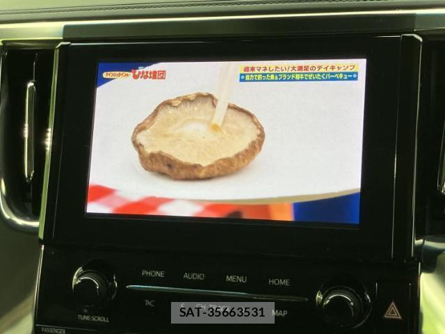 Toyota ALPHARD 2021-02 8056105-12