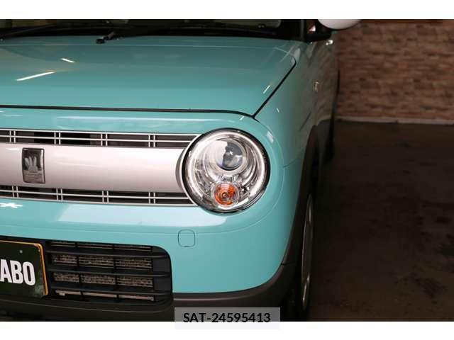 Suzuki LAPIN 2019-01 8055702-13