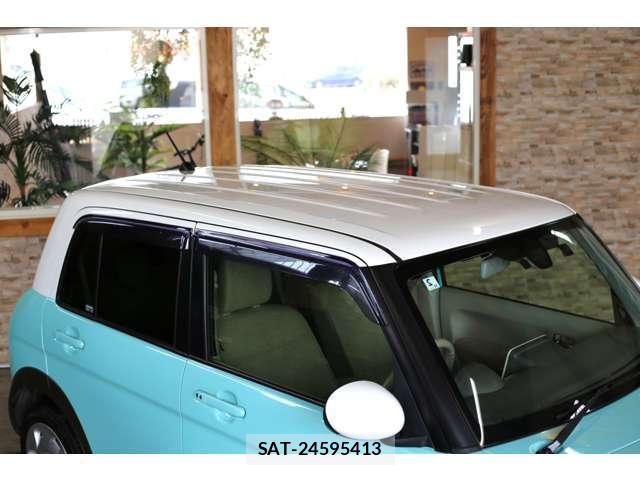 Suzuki LAPIN 2019-01 8055702-6