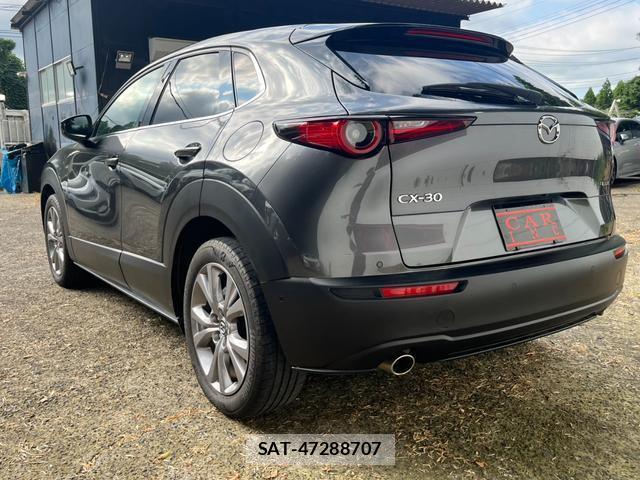 Mazda CX-30 2019-12 8053950-14