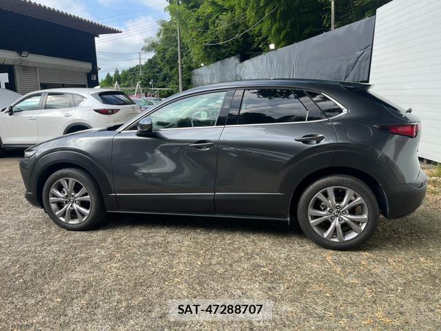 Mazda CX-30 2019-12 8053950-15