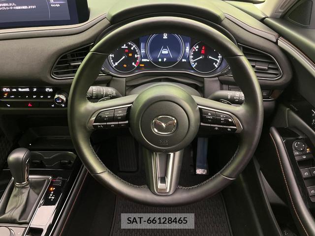 Mazda CX-30 2024-08 8054221-10