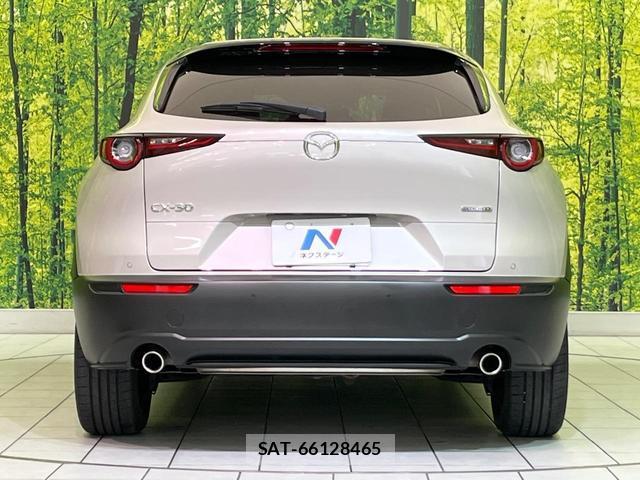 Mazda CX-30 2024-08 8054221-14