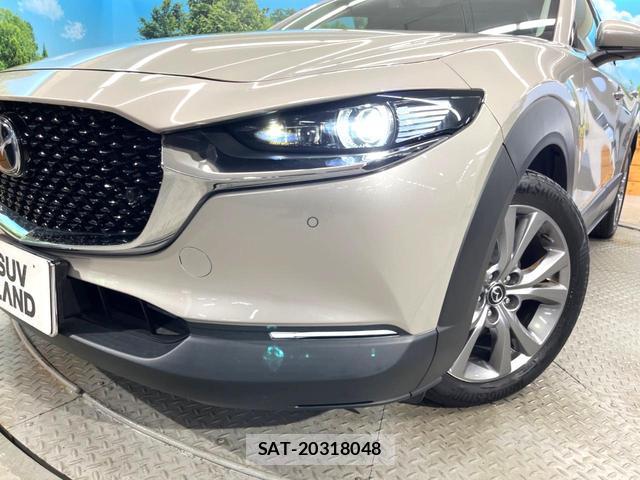 Mazda CX-30 2021-11 8054495-11
