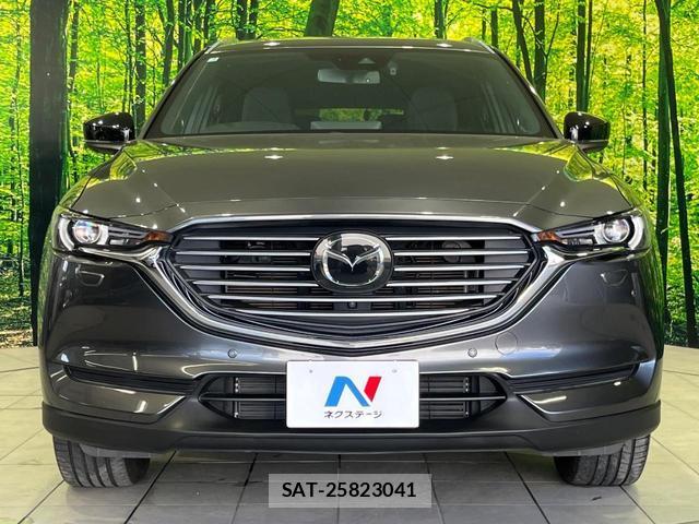 Mazda CX-8 2021-02 8053600-14