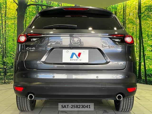Mazda CX-8 2021-02 8053600-15