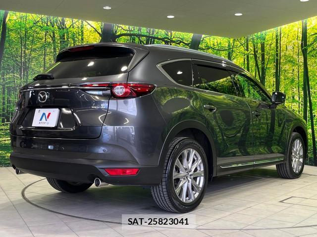 Mazda CX-8 2021-02 8053600-17