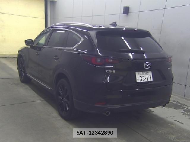 Mazda CX-8 2023-03 8055421-5