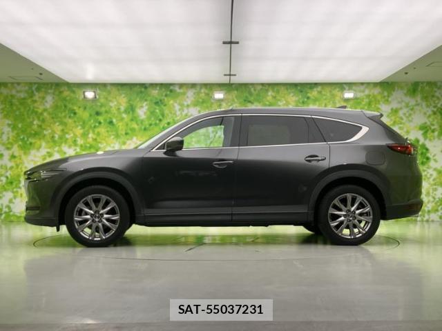 Mazda CX-8 2019-03 8056102-1