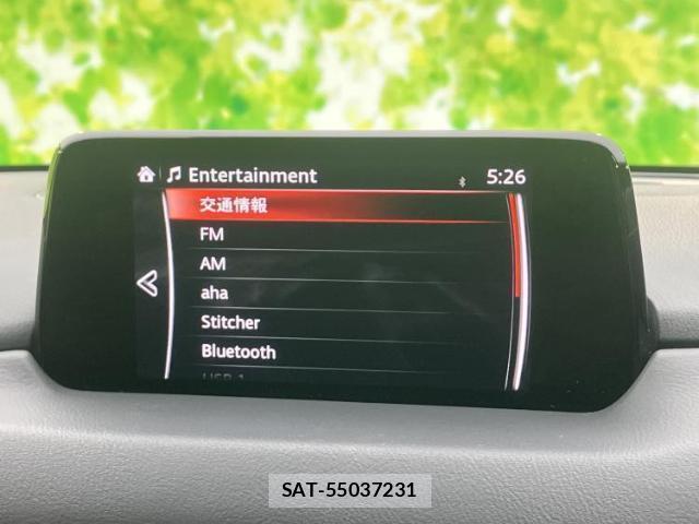 Mazda CX-8 2019-03 8056102-10
