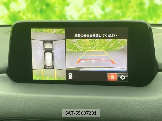 Mazda CX-8 2019-03 8056102-11