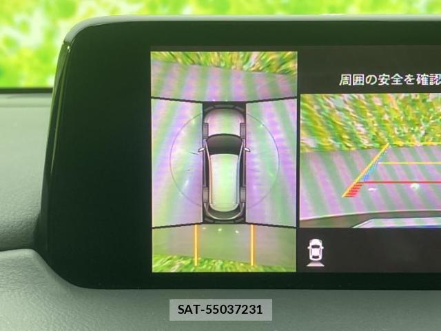 Mazda CX-8 2019-03 8056102-13