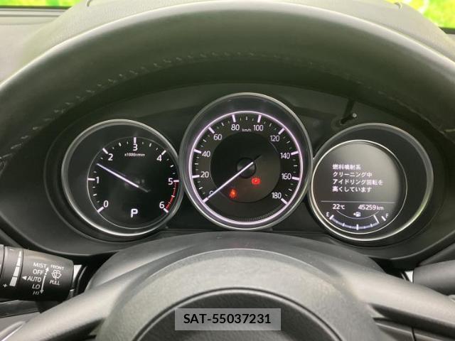 Mazda CX-8 2019-03 8056102-14
