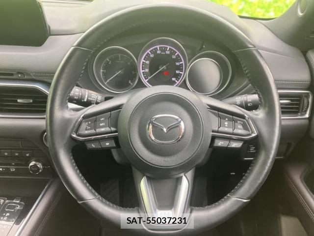 Mazda CX-8 2019-03 8056102-15